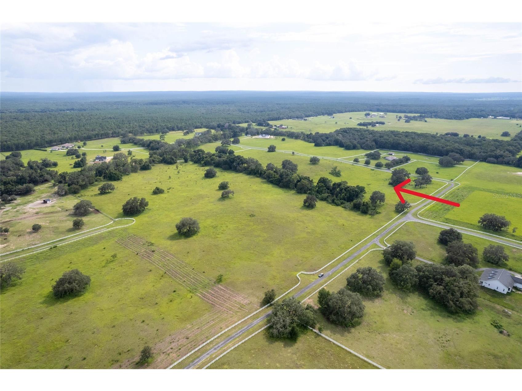 14 Eagle Ridge Bushnell FL 33513 O6378781 image8