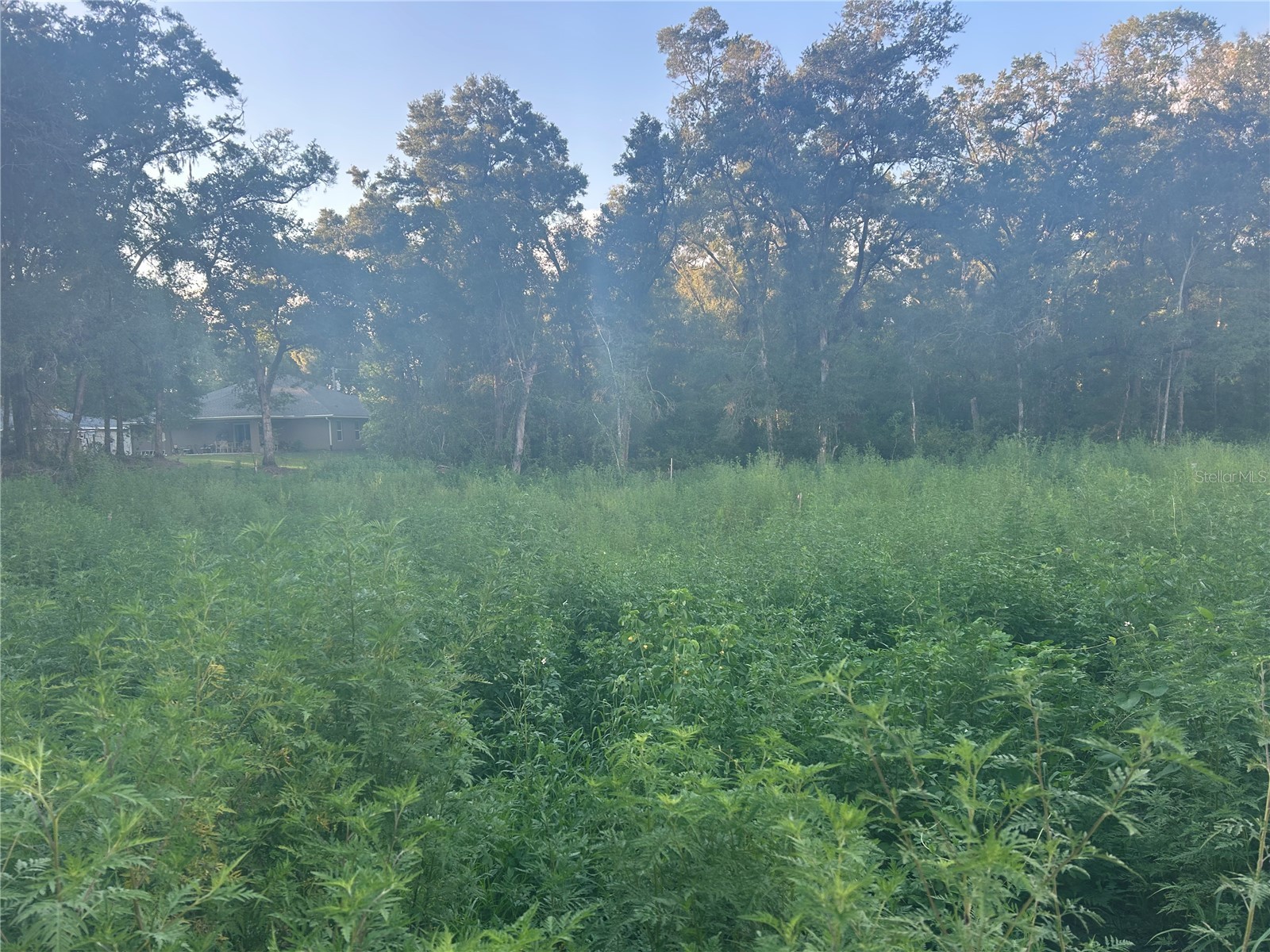 140th Place SE Summerfield FL 34491 S5133170 image1