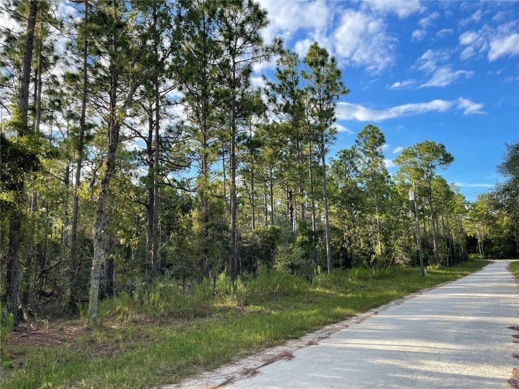 141st Avenue Morriston FL 32668 GC533811 image1