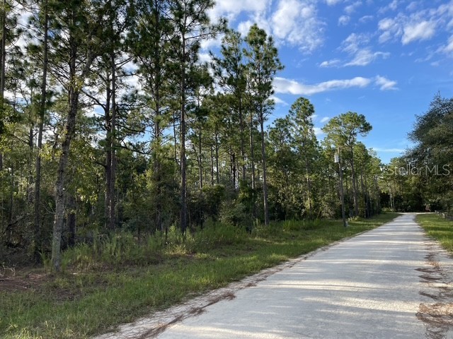 141st Avenue Morriston FL 32668 GC533811 image2