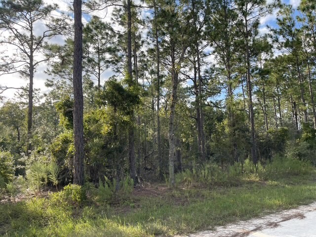 141st Avenue Morriston FL 32668 GC533811 image3