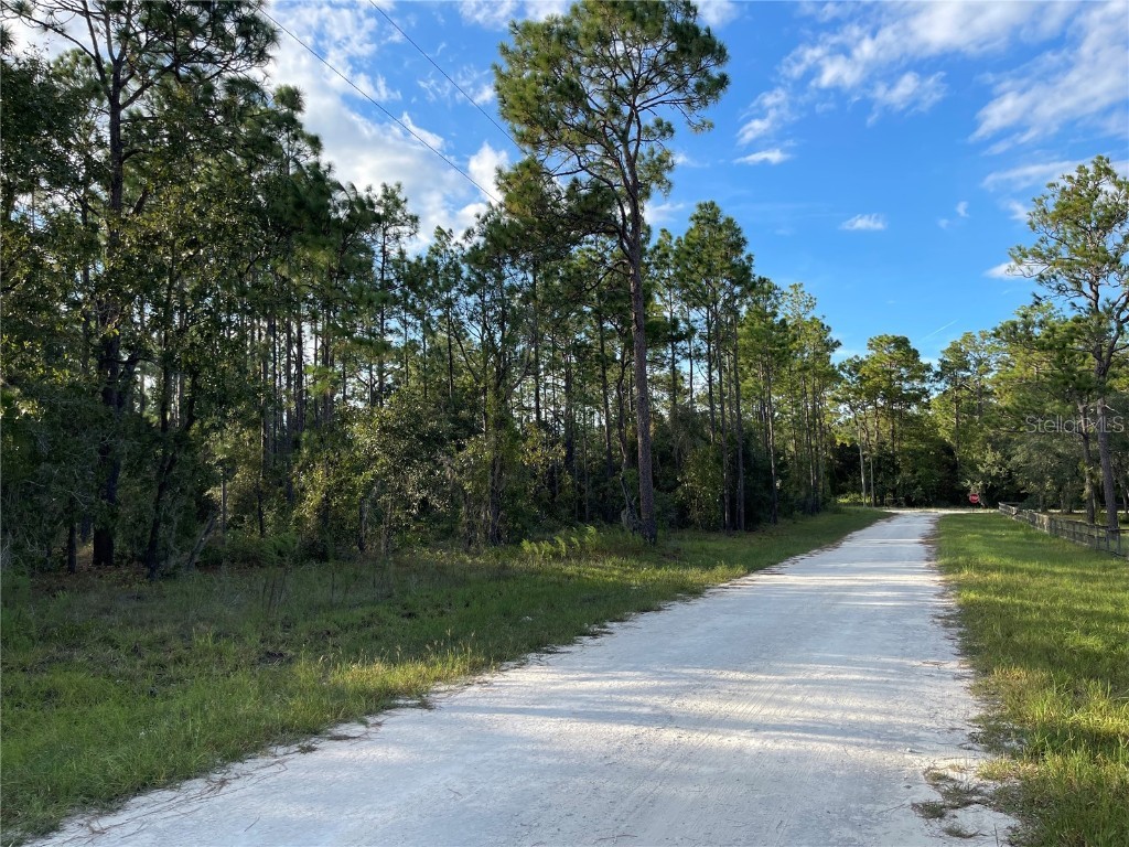 141st Avenue Morriston FL 32668 GC533811 image4