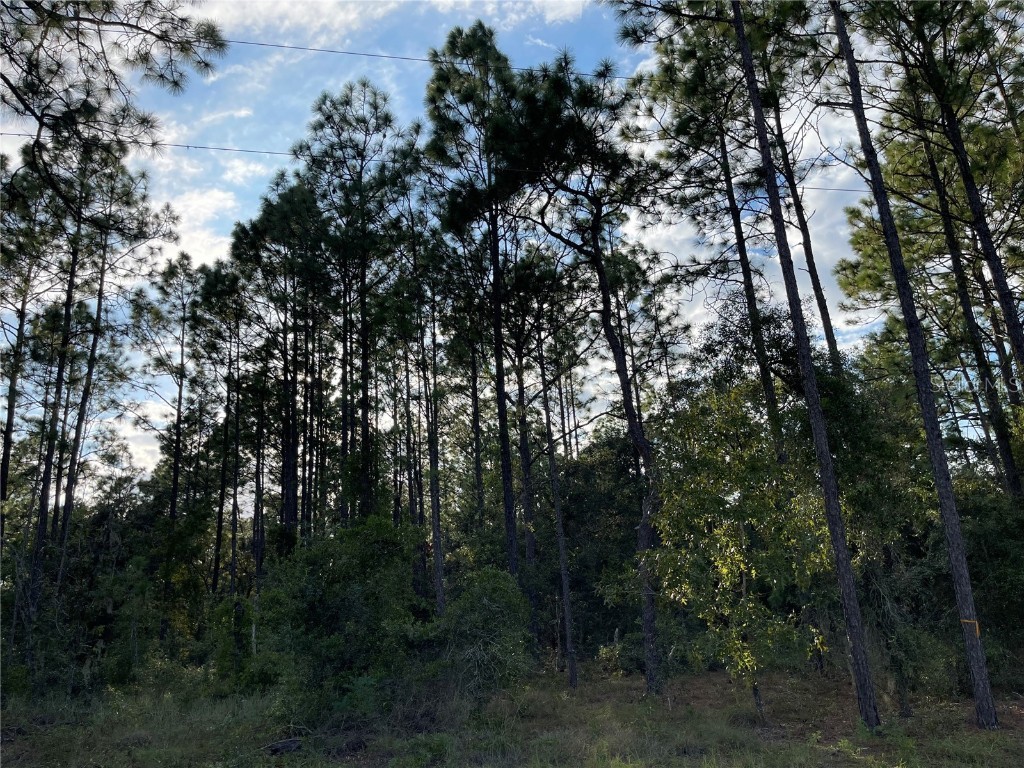 141st Avenue Morriston FL 32668 GC533811 image5