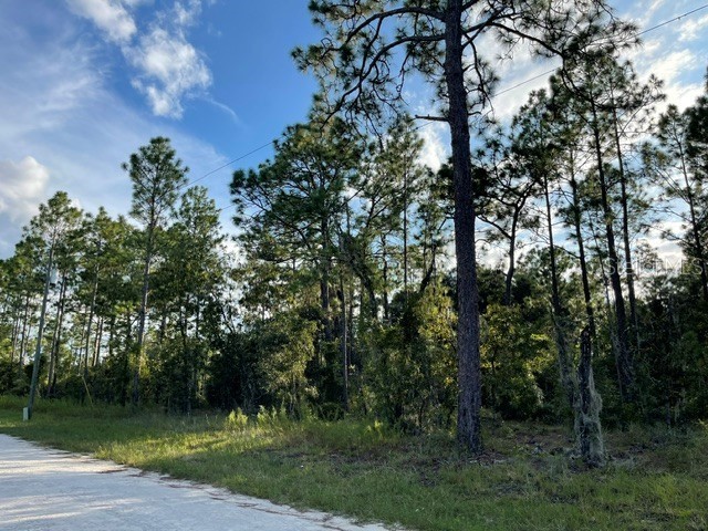 141st Avenue Morriston FL 32668 GC533811 image6