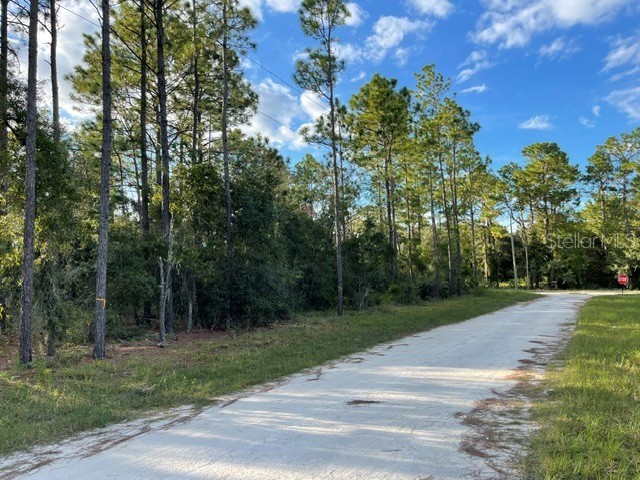 141st Avenue Morriston FL 32668 GC533811 image7