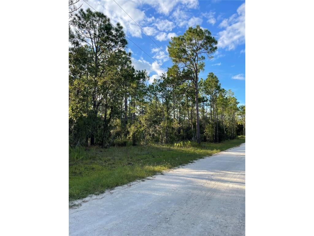 141st Avenue Morriston FL 32668 GC533811 image8