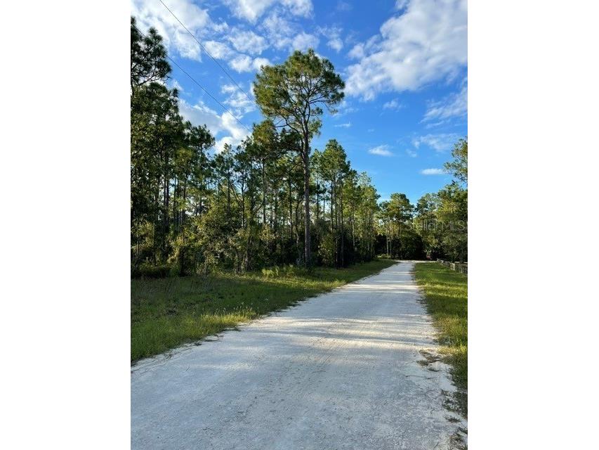 141st Avenue Morriston FL 32668 GC533811 image9