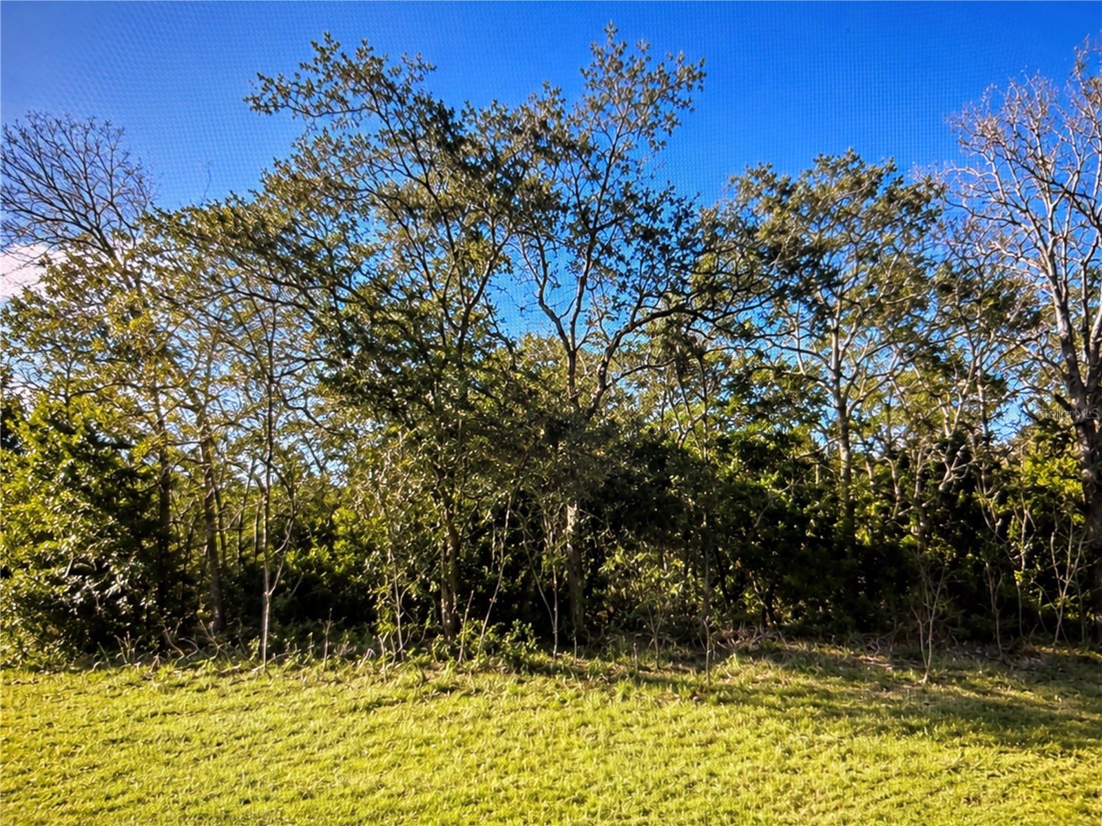 143 Place Ocala FL 34473 TB8505652 image1