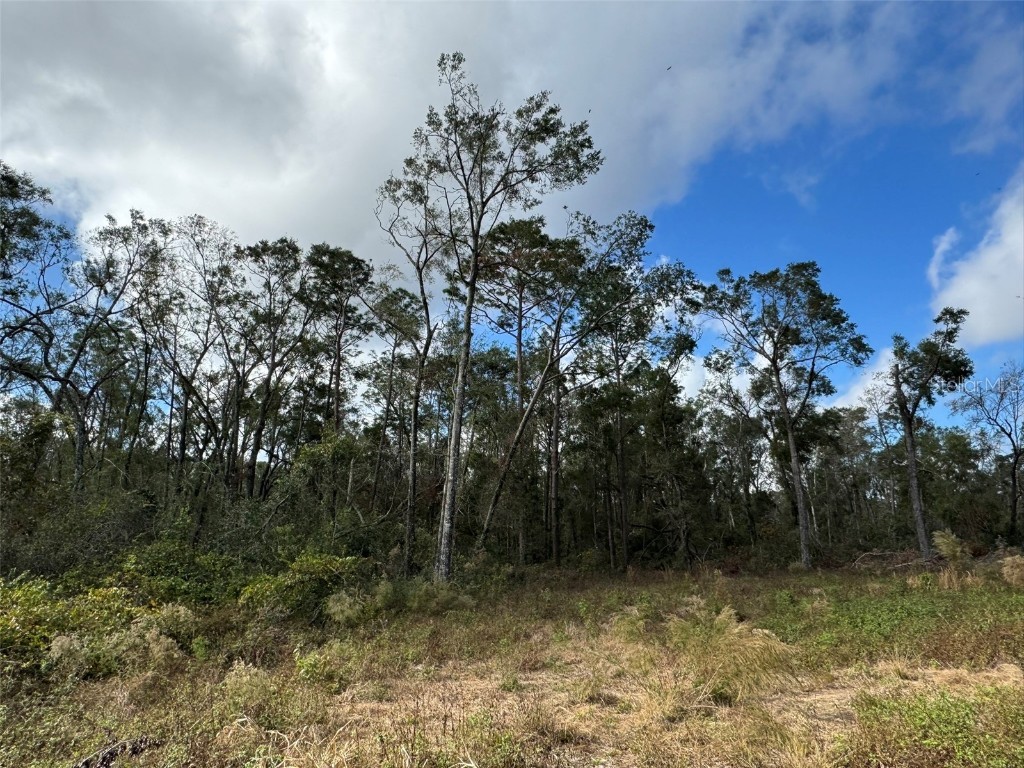 143rd Drive O'Brien FL 32071 R4908529 image2