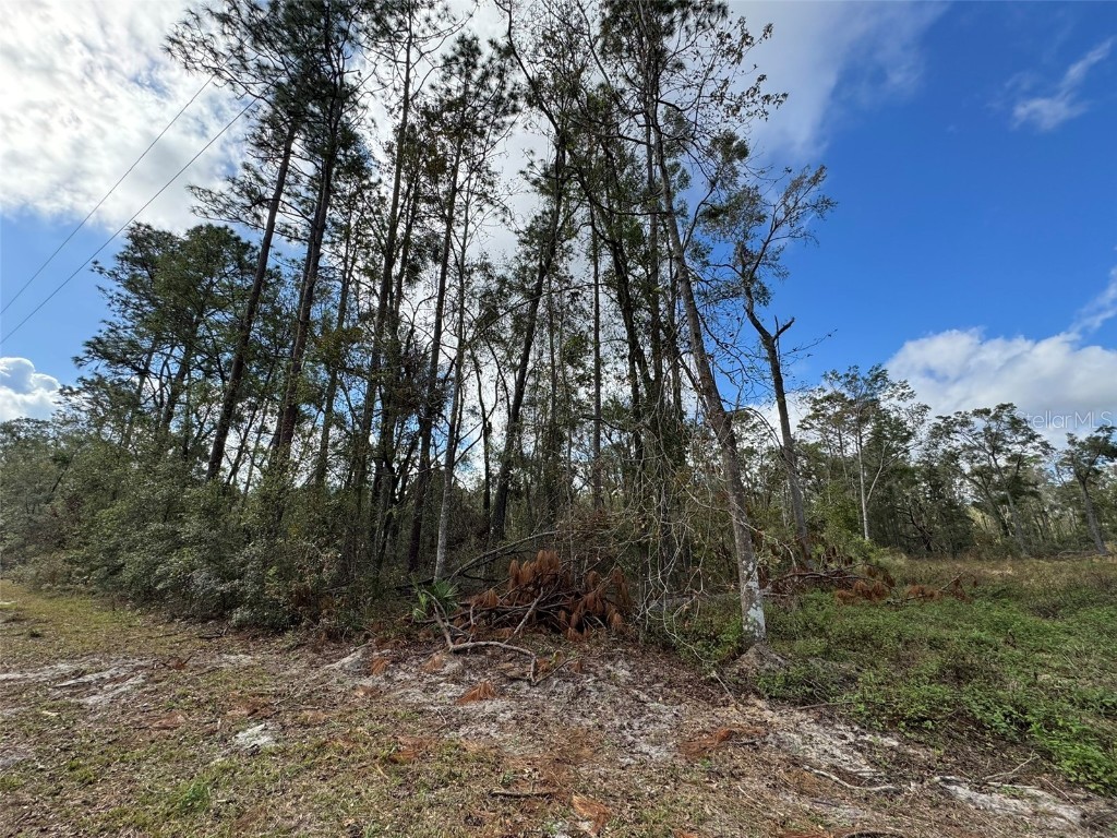 143rd Drive O'Brien FL 32071 R4908529 image3