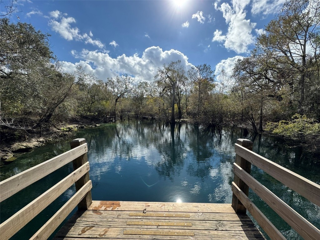 143rd Drive O'Brien FL 32071 R4908529 image5