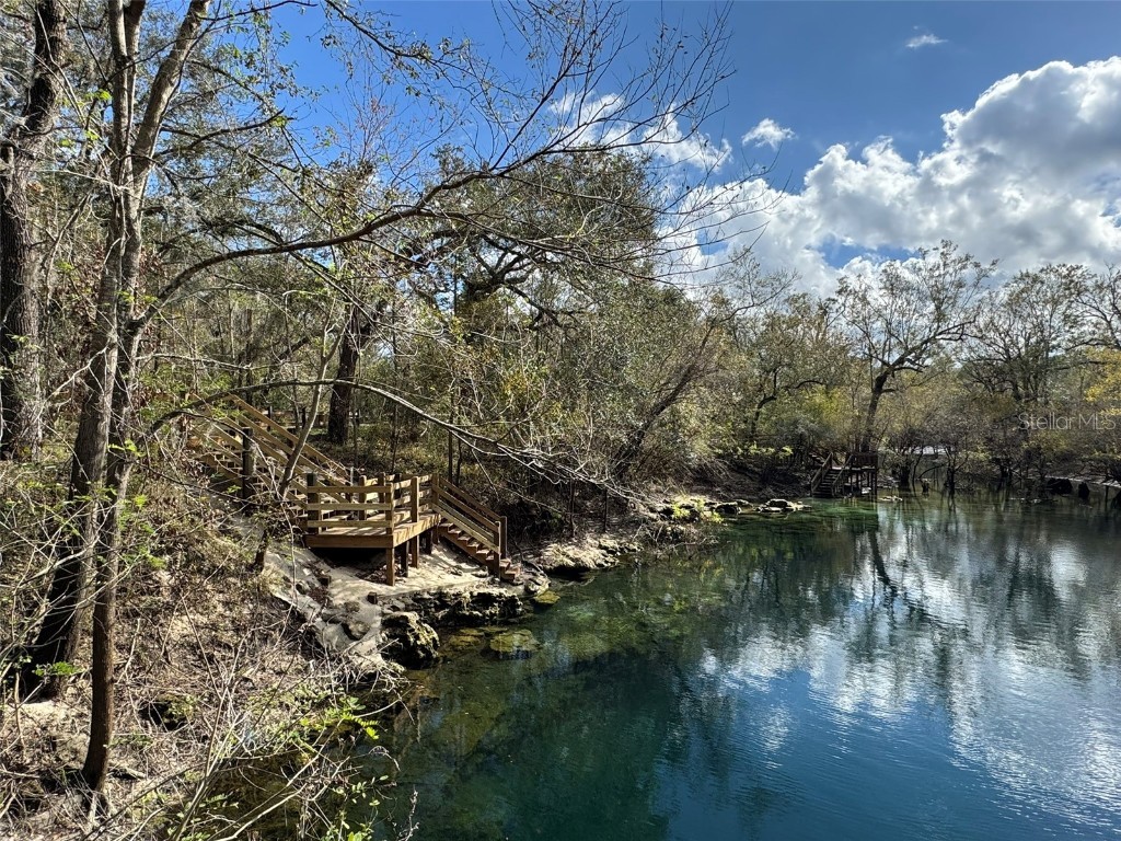 143rd Drive O'Brien FL 32071 R4908529 image6