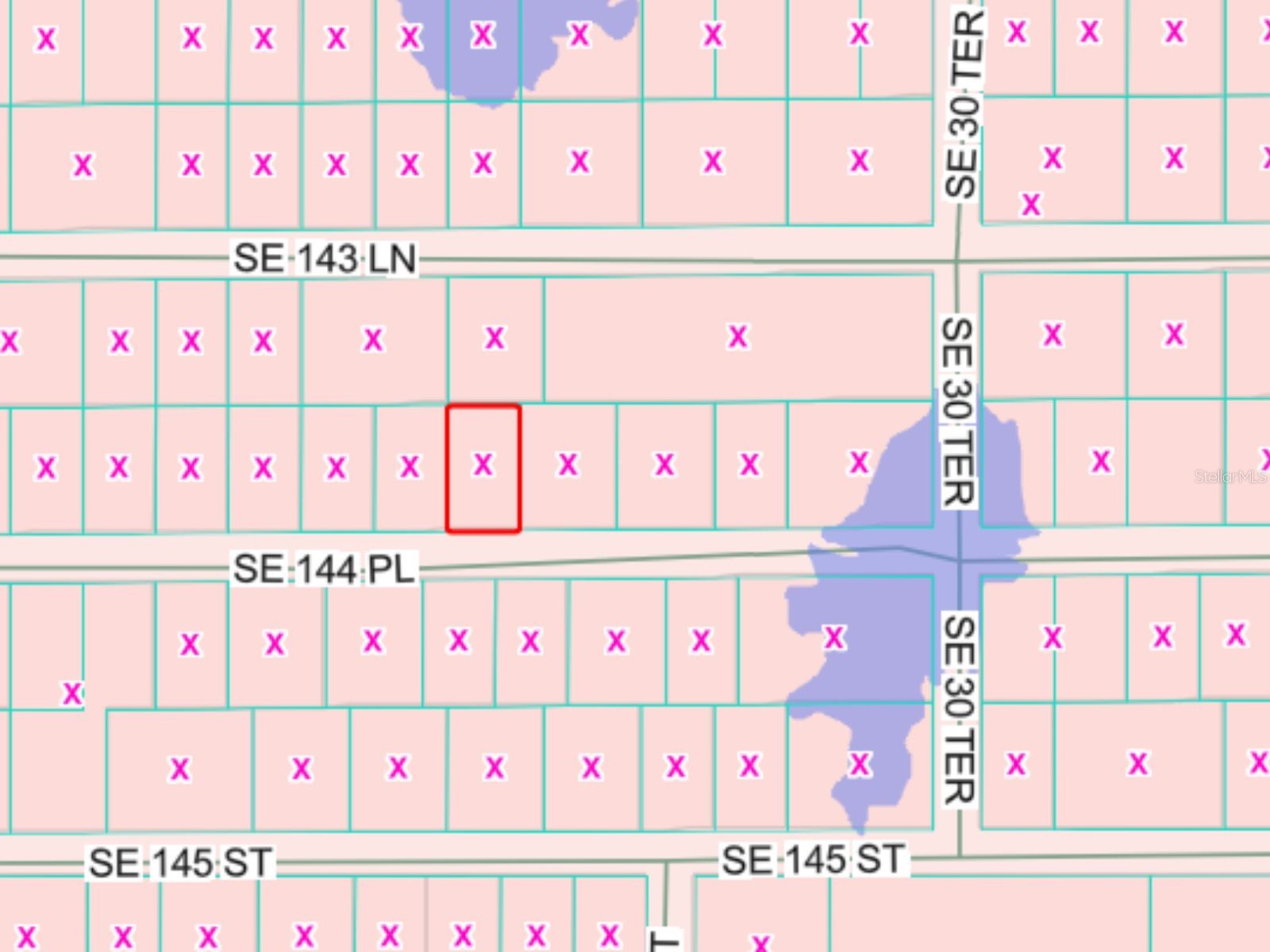 144th Summerfield FL 34491 OM725328 image1