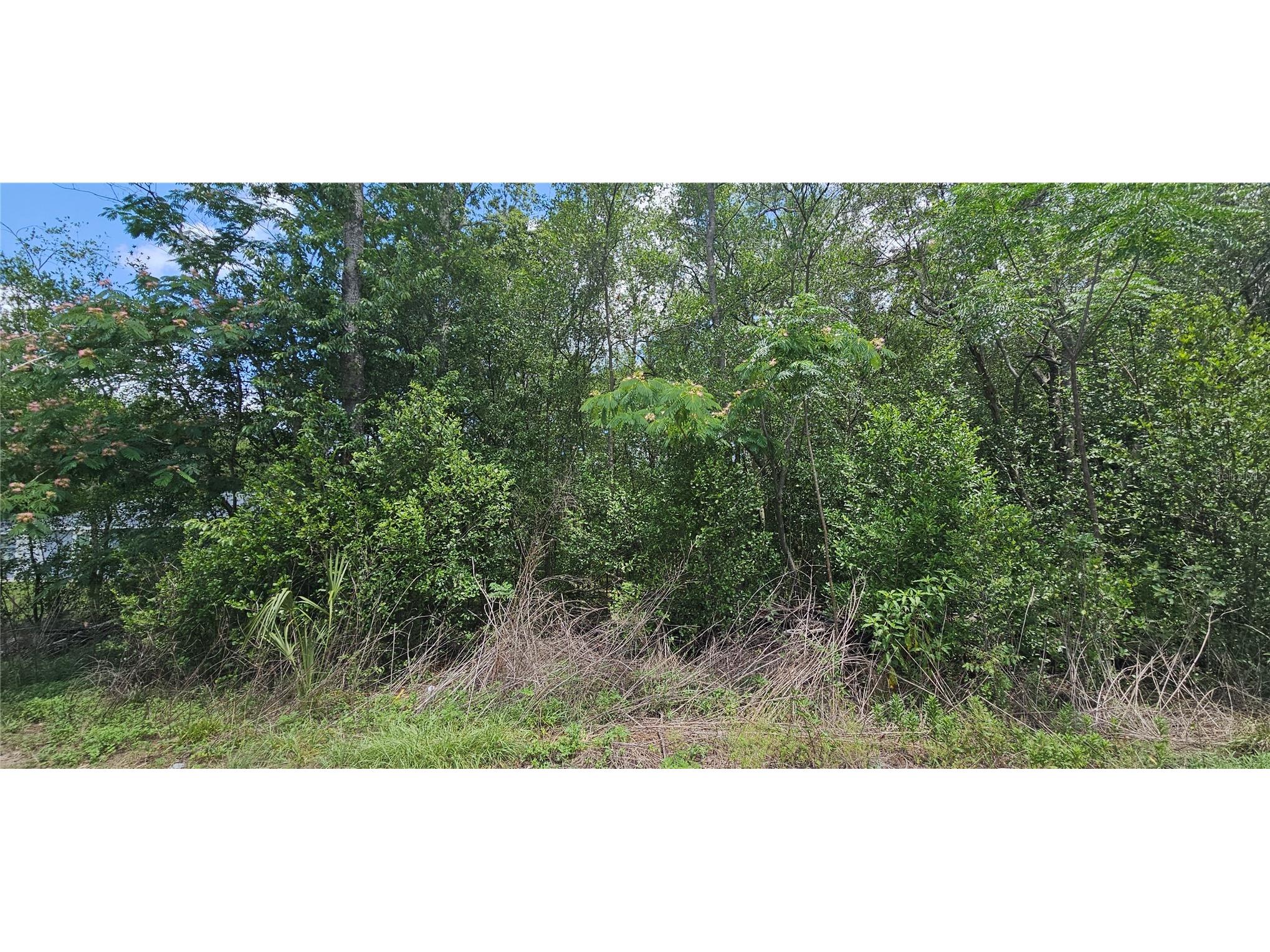 144th Summerfield FL 34491 OM725328 image2