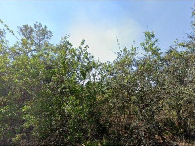146 Patton Ave Lake Placid FL 33852 D6141635 image1