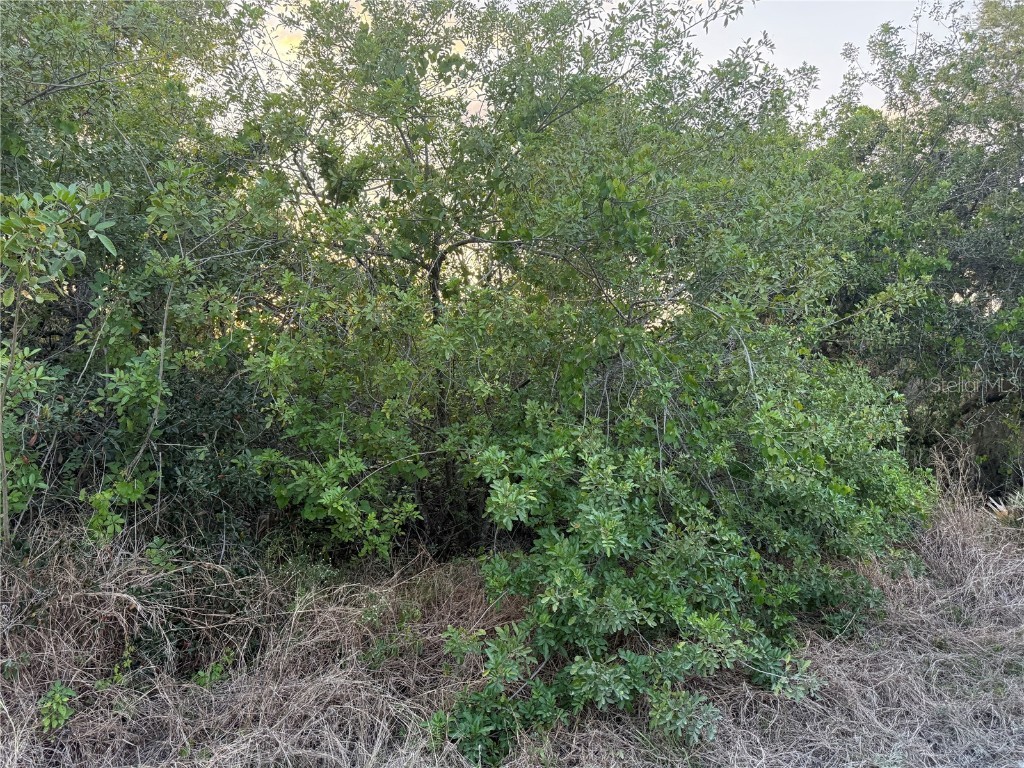 146 Patton Ave Lake Placid FL 33852 D6141635 image2