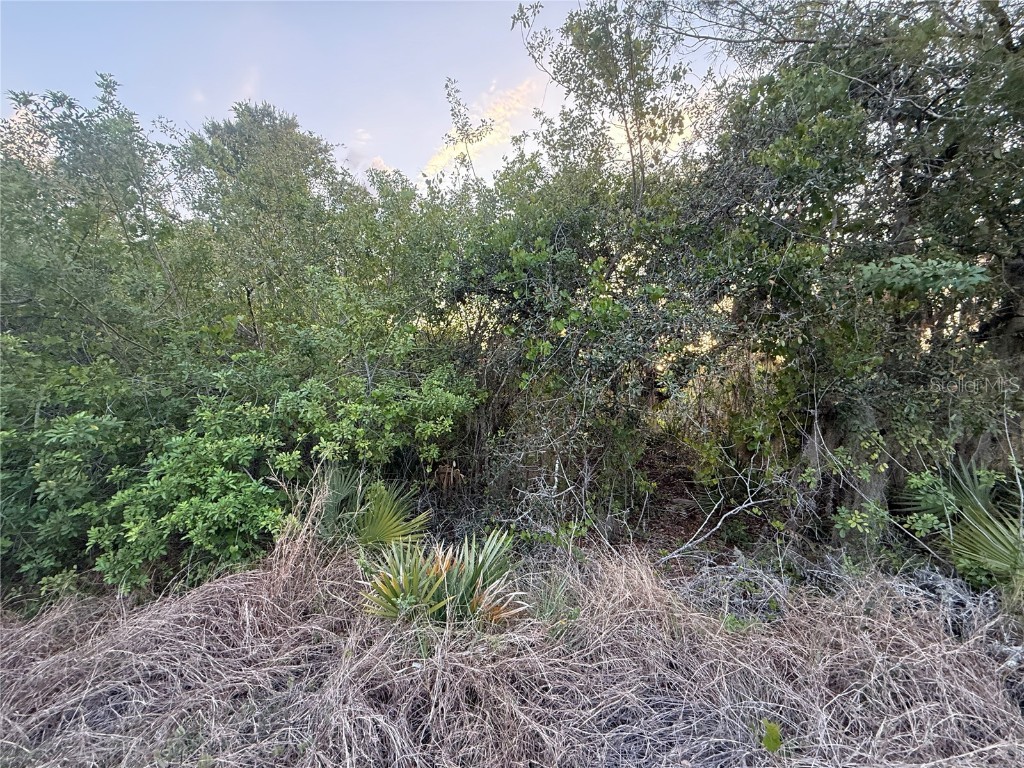 146 Patton Ave Lake Placid FL 33852 D6141635 image4