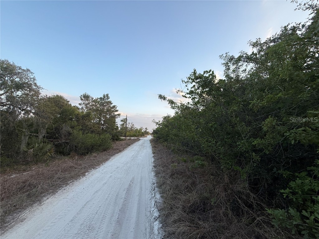 146 Patton Ave Lake Placid FL 33852 D6141635 image5