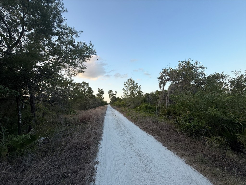 146 Patton Ave Lake Placid FL 33852 D6141635 image6