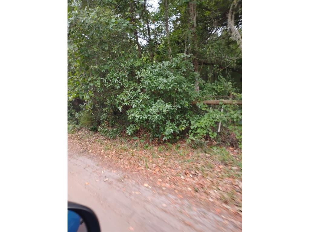 146th Pl Fort Mc Coy FL 32134 G5097520 image1