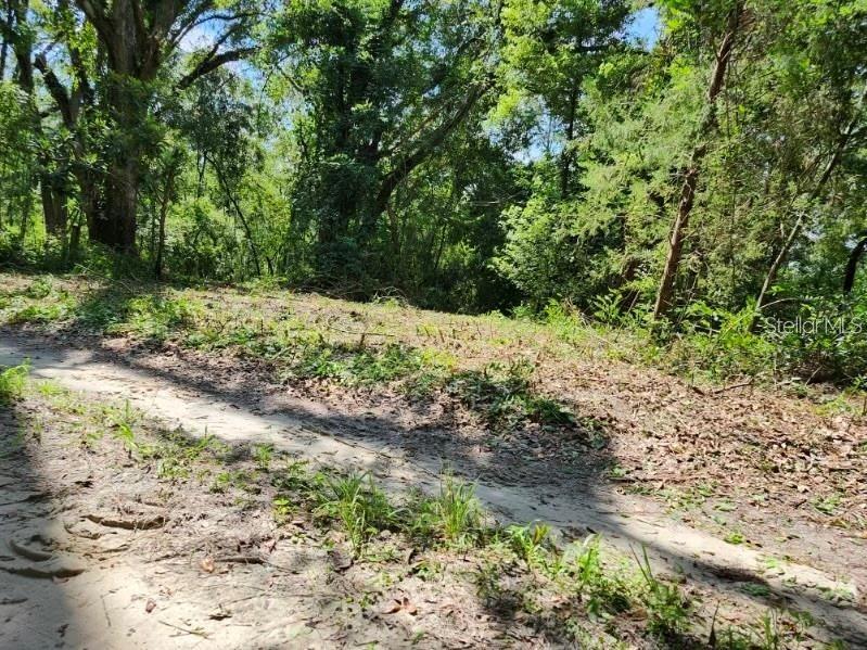 147th Road Live Oak FL 32060 A4666316 image1