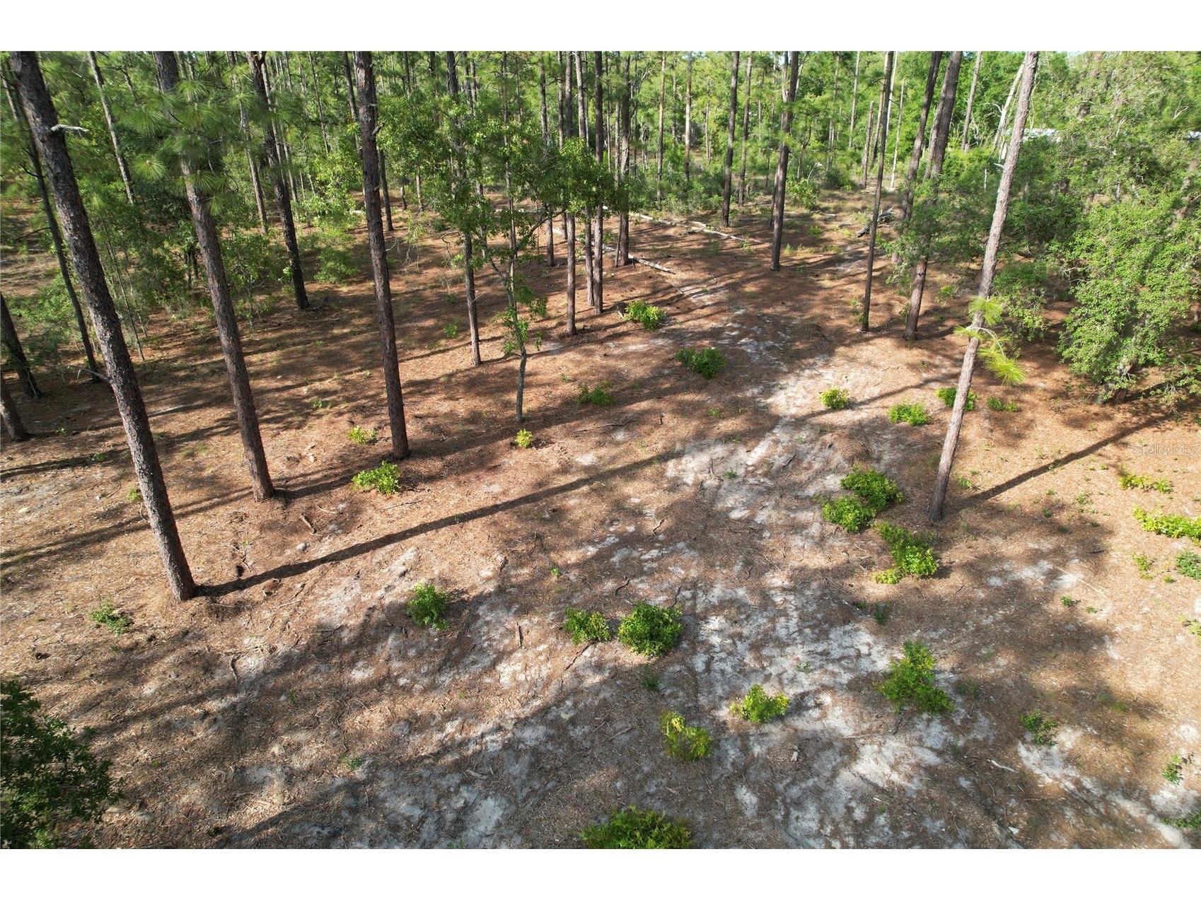 148th Court Morriston FL 32668 O6408026 image1