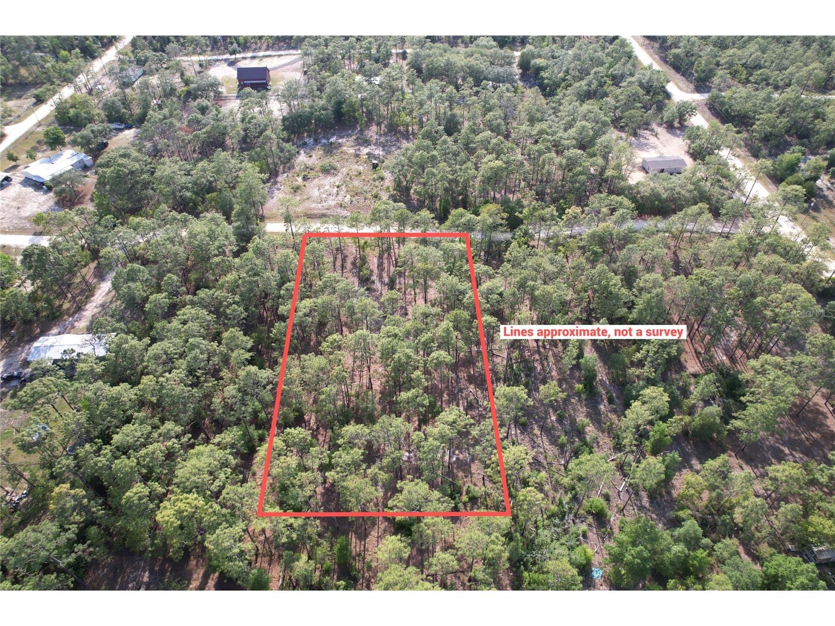 148th Court Morriston FL 32668 O6408026 image2