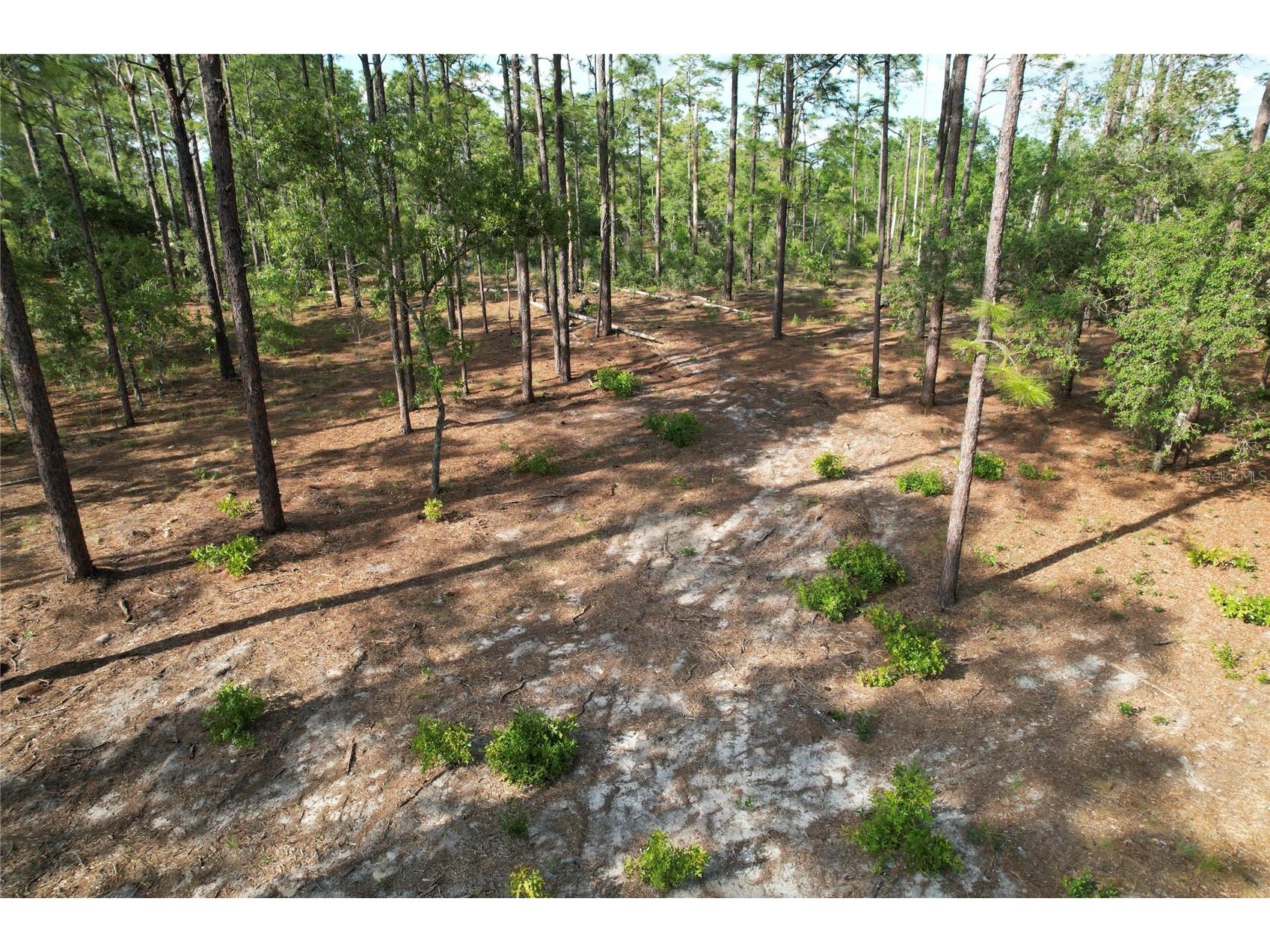 148th Court Morriston FL 32668 O6408026 image3
