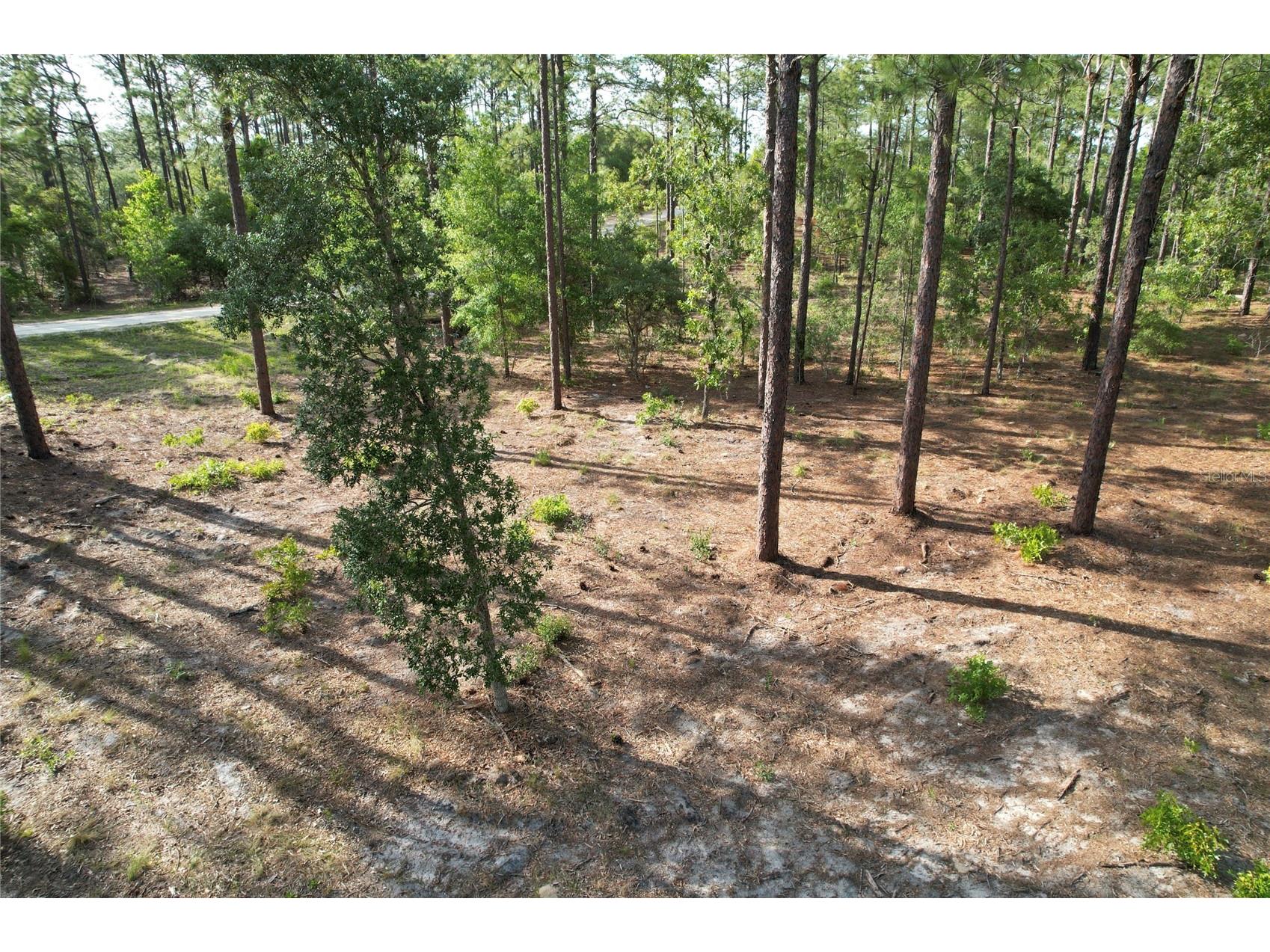 148th Court Morriston FL 32668 O6408026 image4