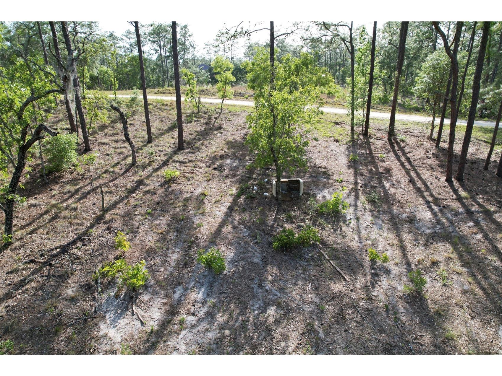 148th Court Morriston FL 32668 O6408026 image5