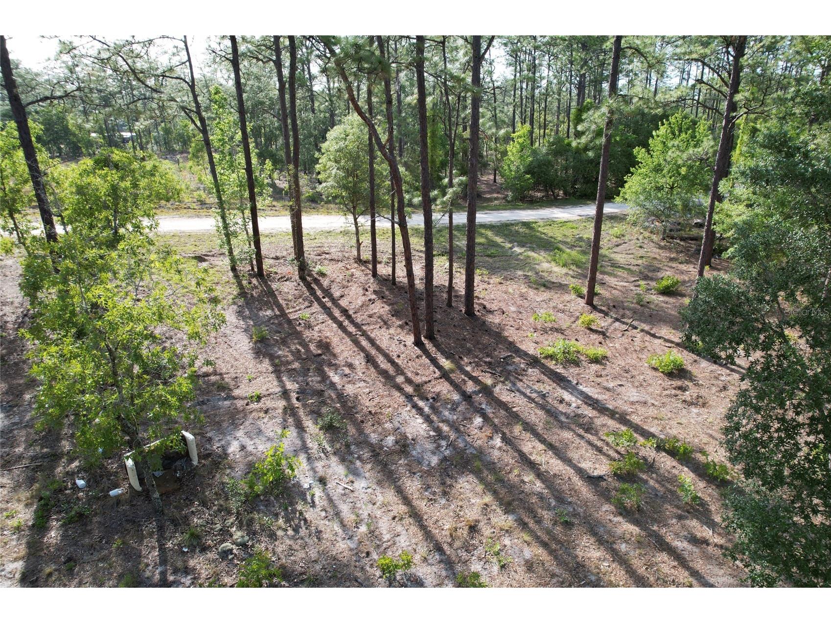 148th Court Morriston FL 32668 O6408026 image7