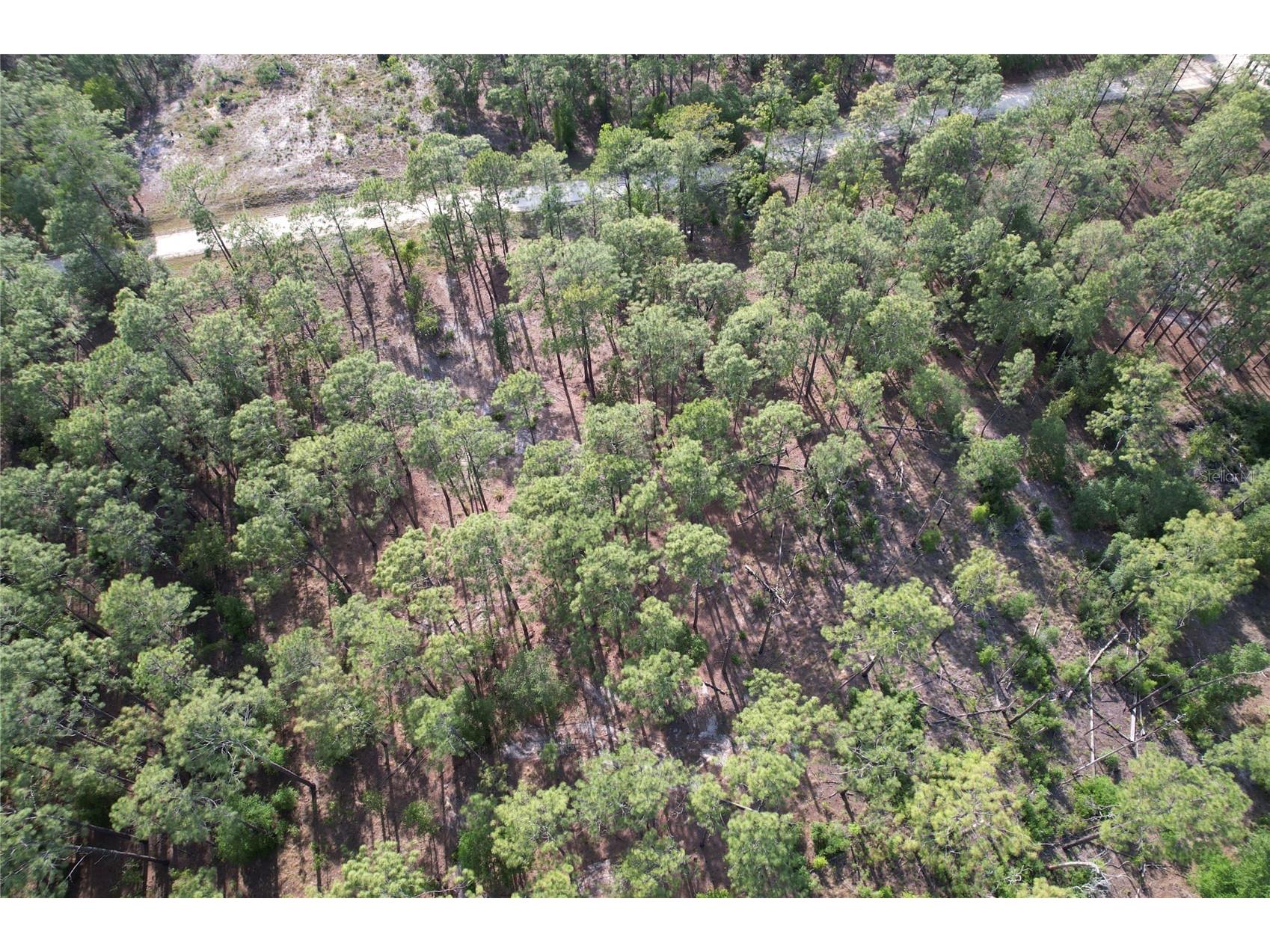 148th Court Morriston FL 32668 O6408026 image8