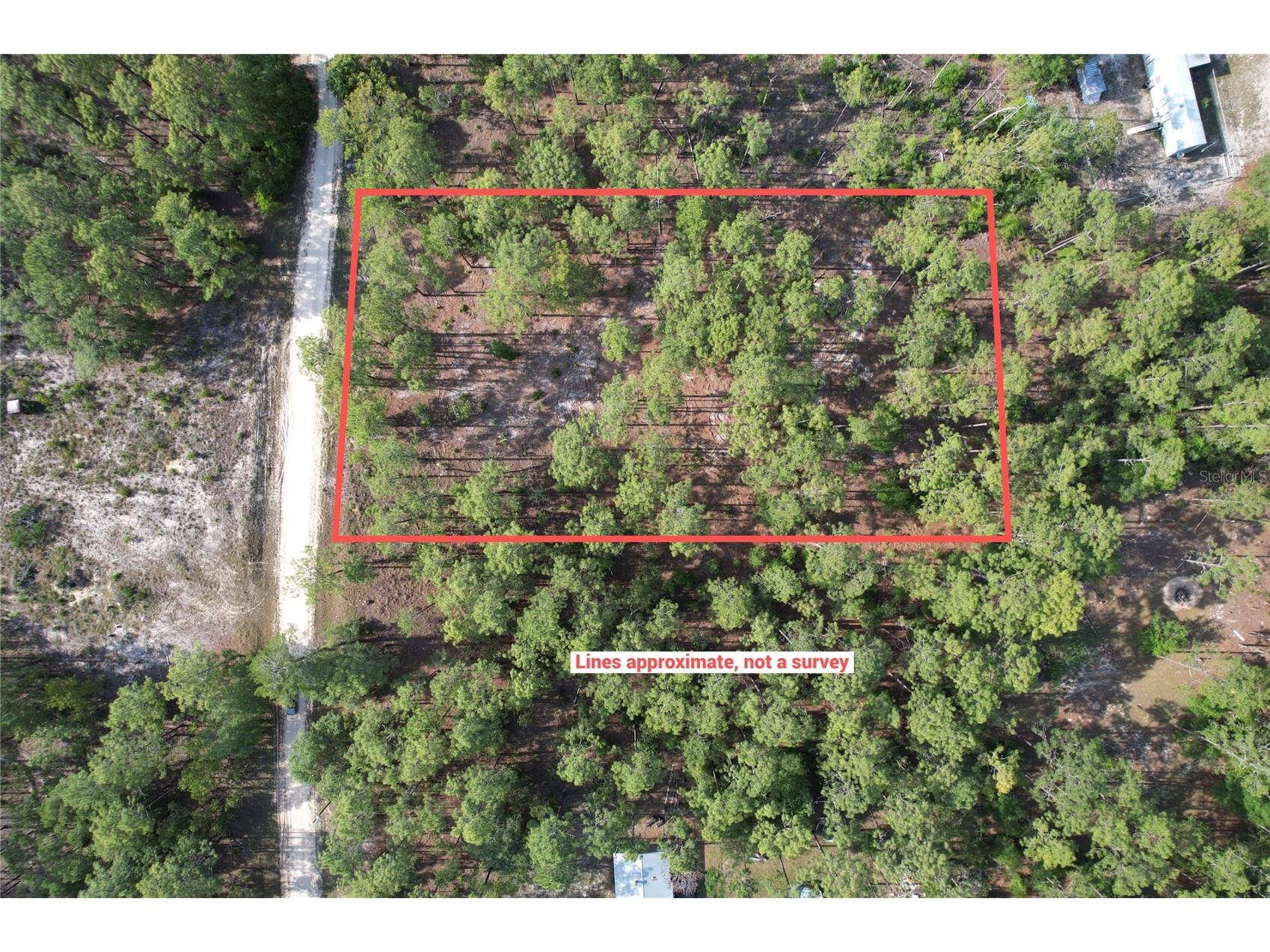 148th Court Morriston FL 32668 O6408026 image9