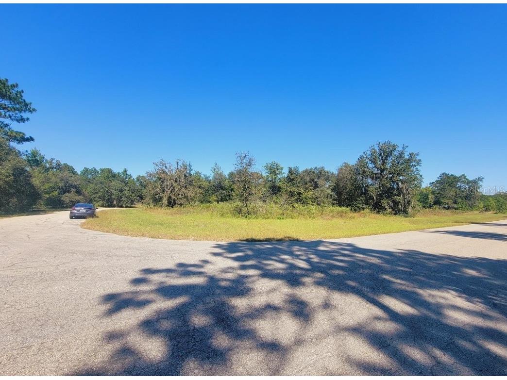 148th Street SW Ocala FL 34473 T3466946 image1