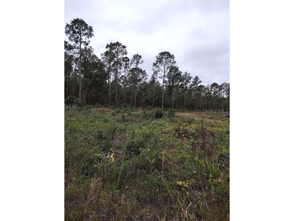 148th Terrace Rd Fort Mc Coy FL 32134 OM668000 image1