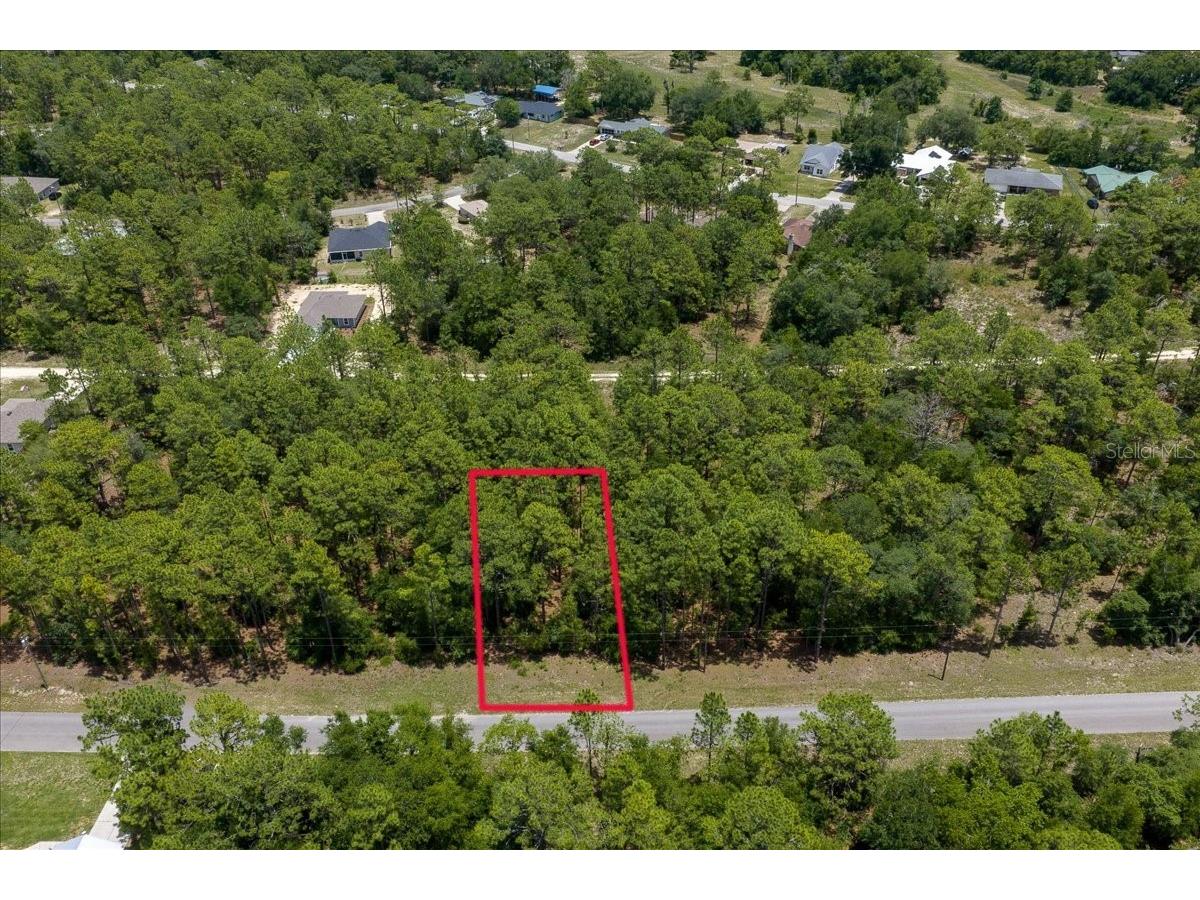 150th Avenue Williston FL 32696 OM728213 image1
