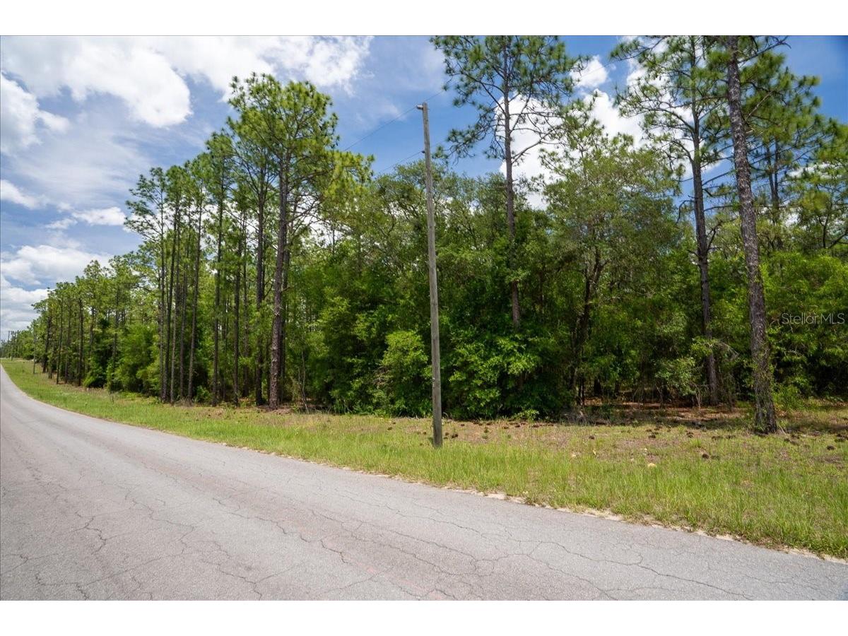 150th Avenue Williston FL 32696 OM728213 image2
