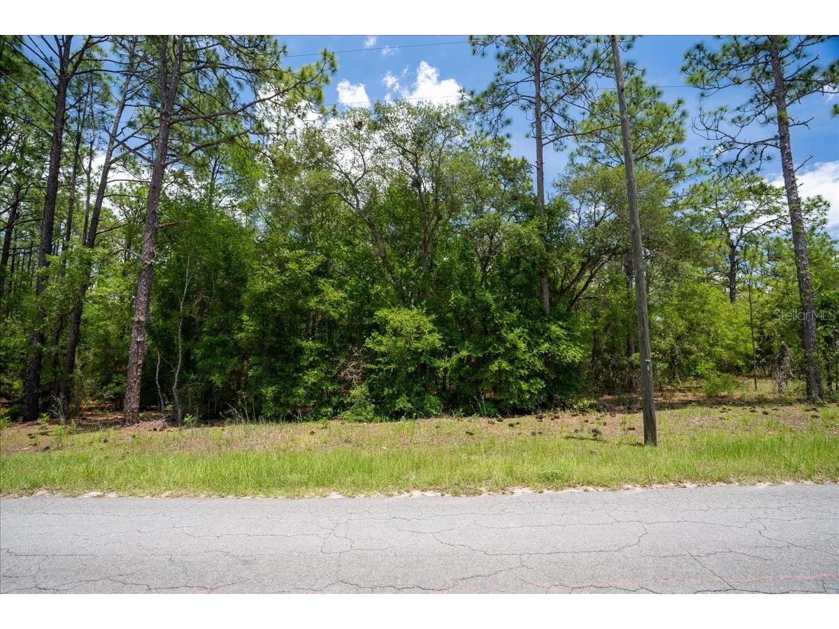150th Avenue Williston FL 32696 OM728213 image3
