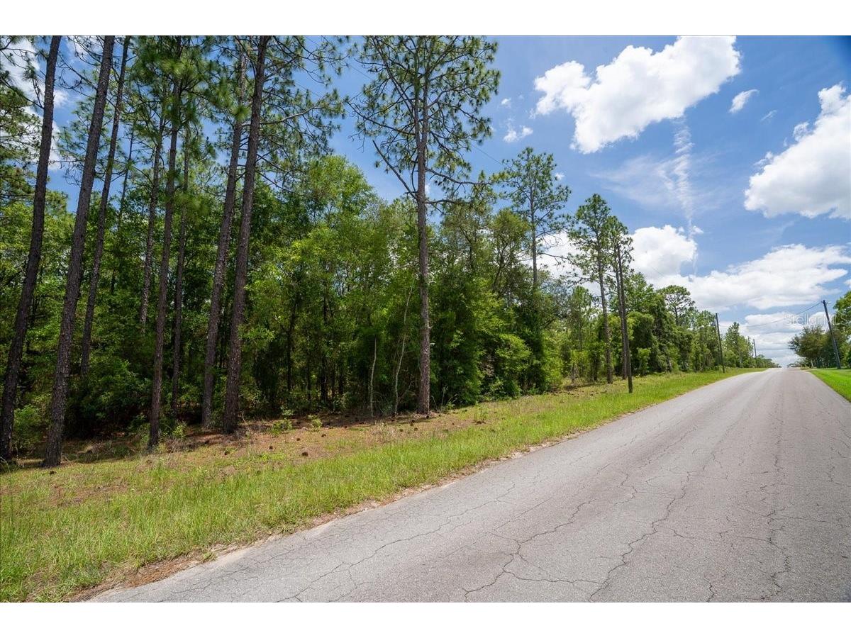 150th Avenue Williston FL 32696 OM728213 image4