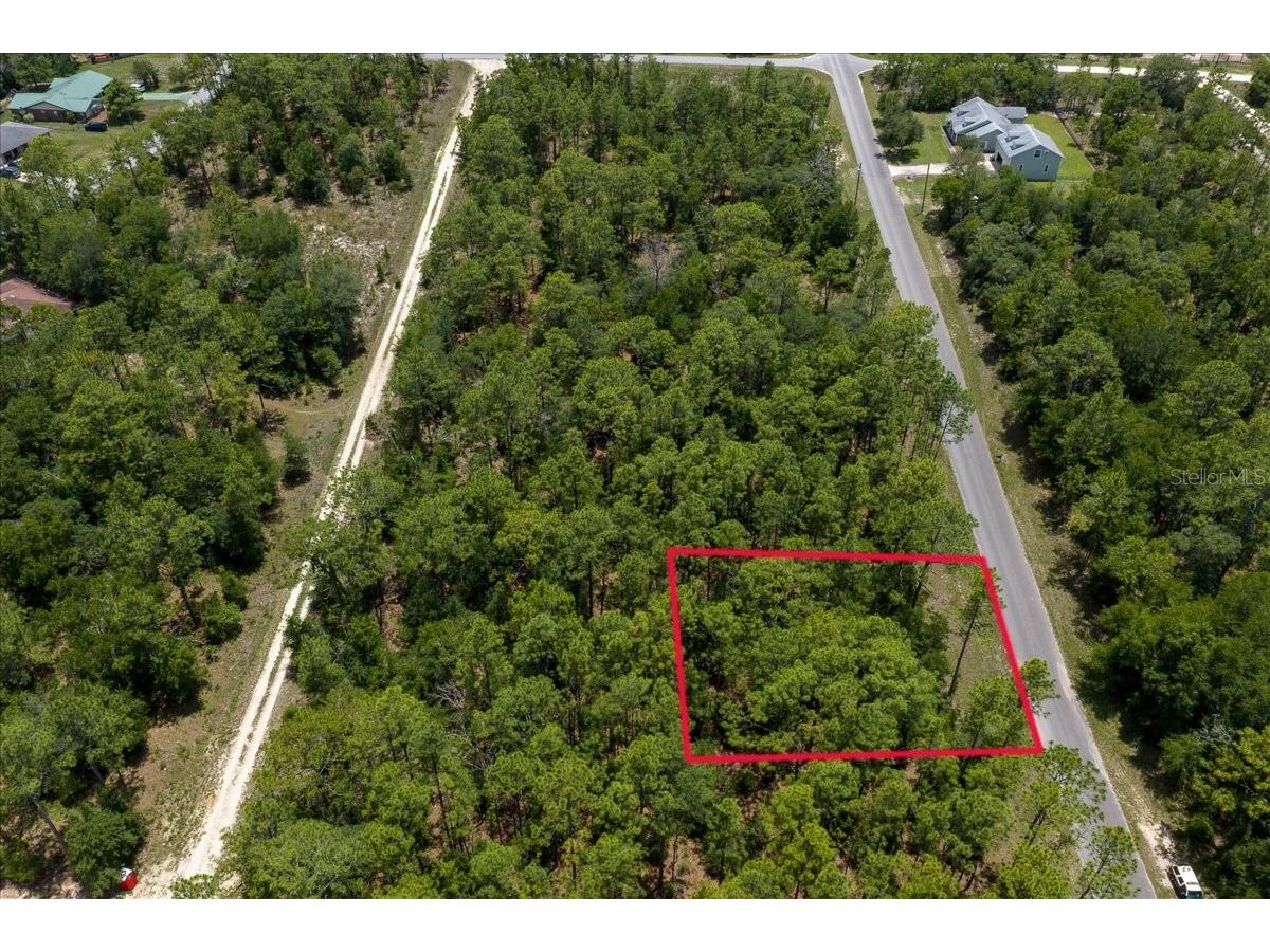 150th Avenue Williston FL 32696 OM728213 image5