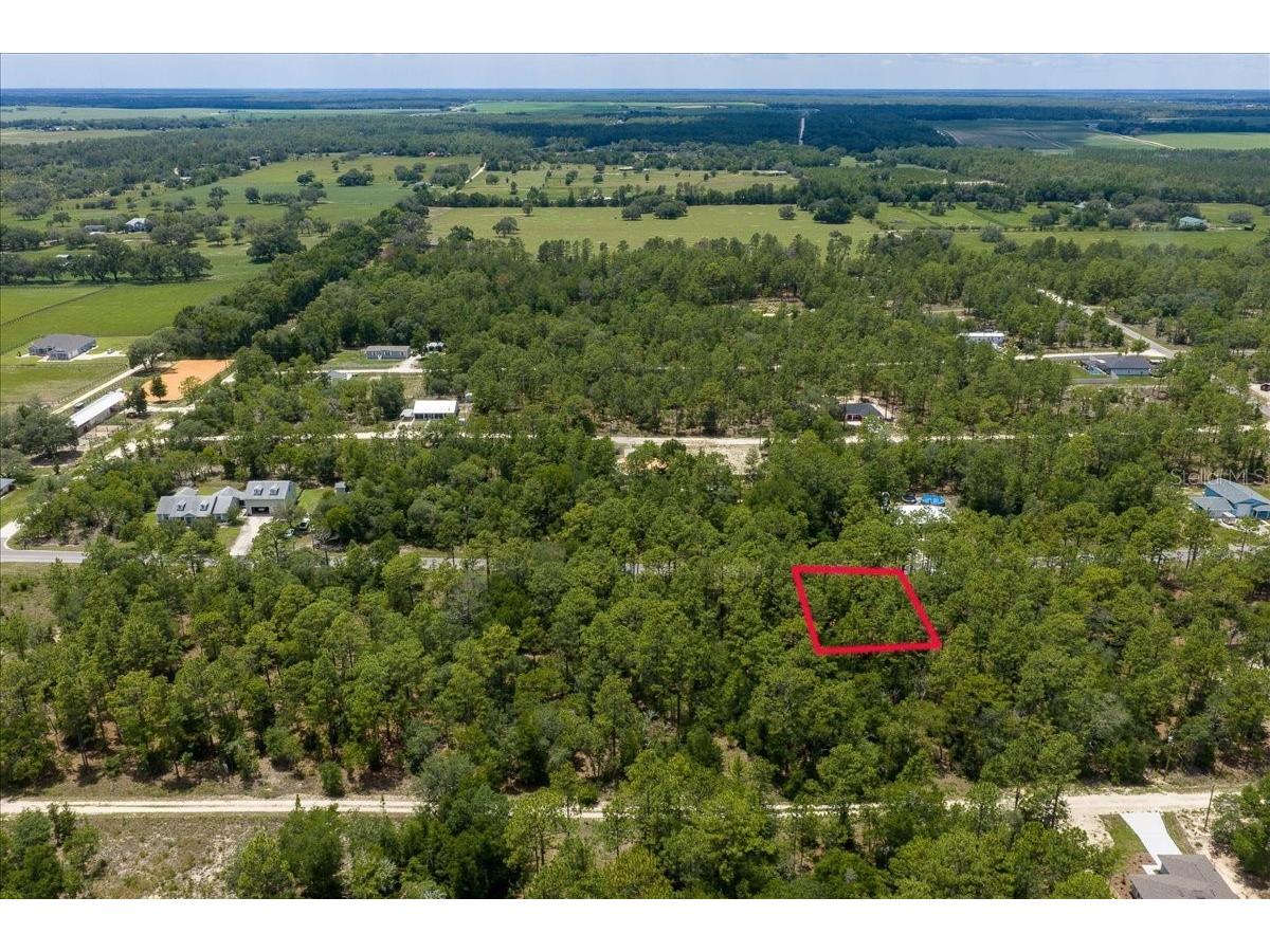 150th Avenue Williston FL 32696 OM728213 image6