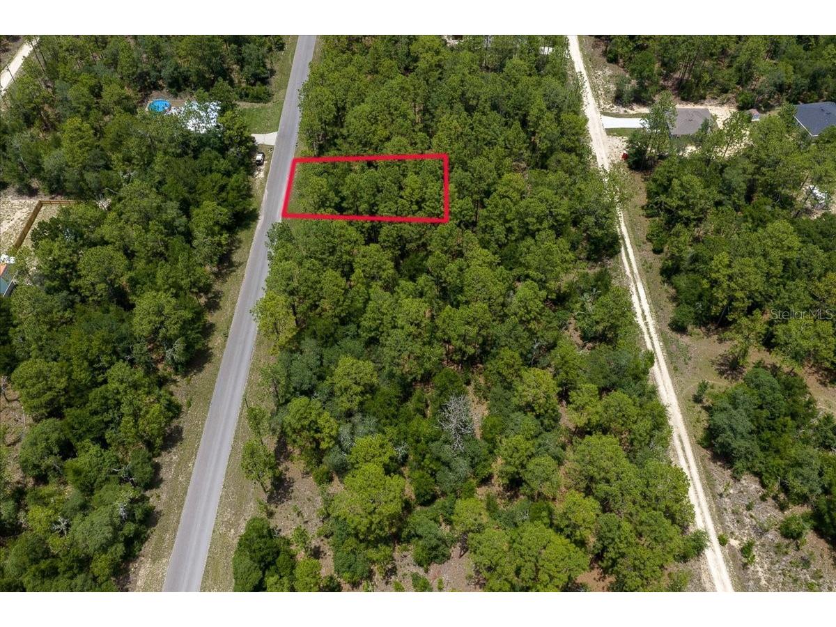 150th Avenue Williston FL 32696 OM728213 image7