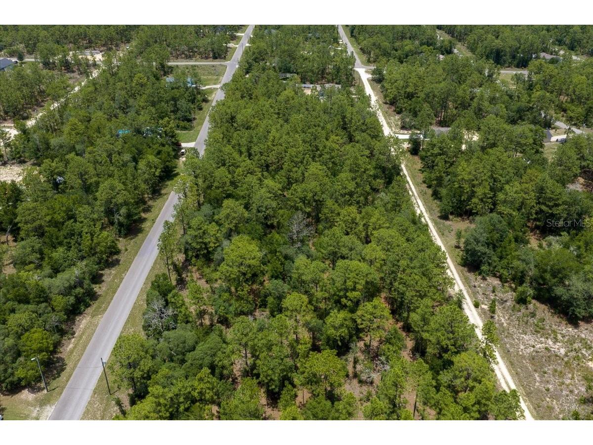 150th Avenue Williston FL 32696 OM728213 image8