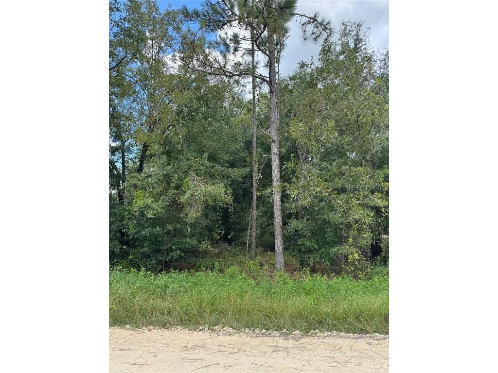 150th Court Ocala FL 34481 OM685153 image1