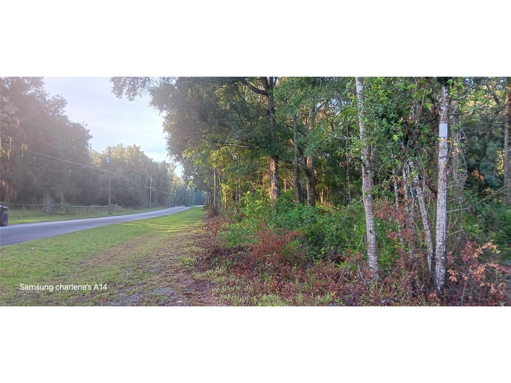 153 Lane Chiefland FL 32626 GC535581 image3