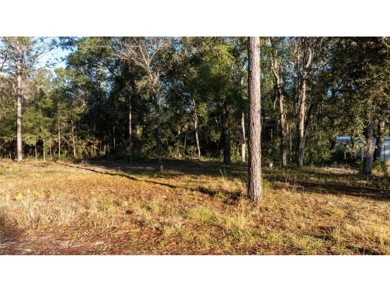 155th Ct Williston FL 32696 OM670461 image1