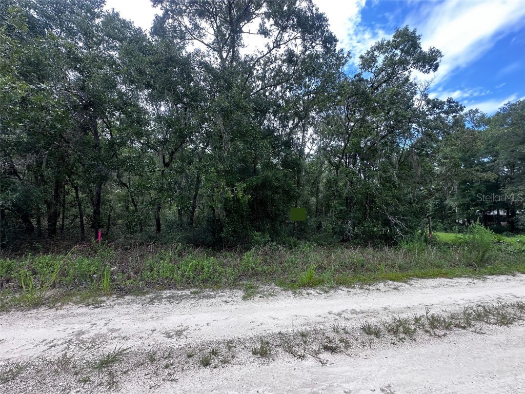 155th Terrace NE Williston FL 32696 OM709277 image2