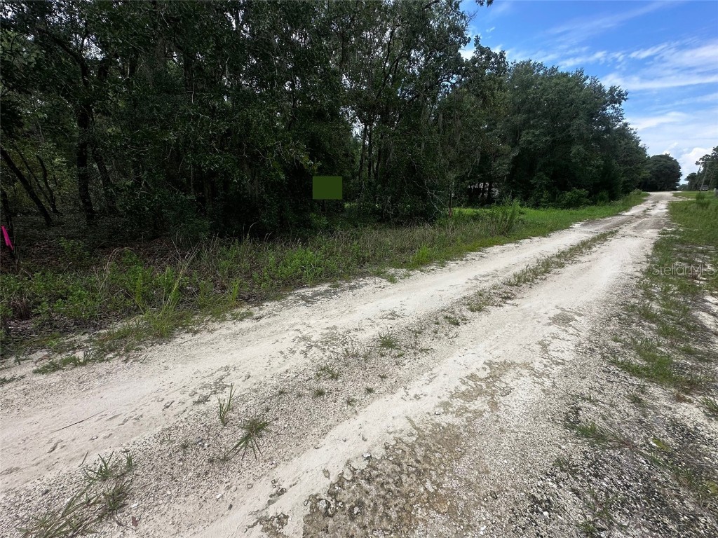 155th Terrace NE Williston FL 32696 OM709277 image3