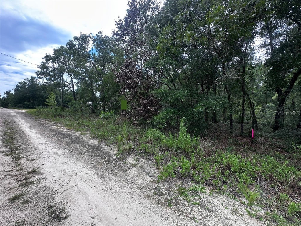 155th Terrace NE Williston FL 32696 OM709277 image4