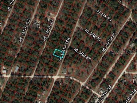 155th Terrace NE Williston FL 32696 OM709277 image5
